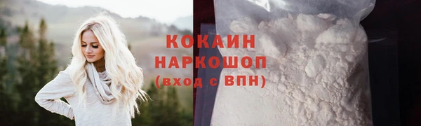 стафф Няндома