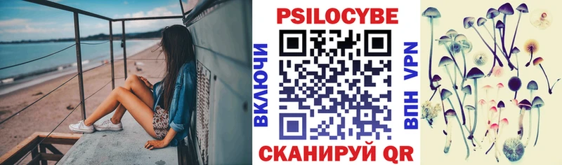 дарнет шоп  Коммунар  Галлюциногенные грибы Psilocybine cubensis 